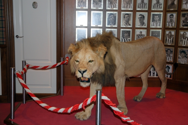 León del antepalco del campo de San Mamés